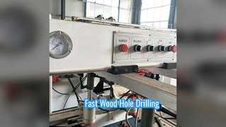 Wood Drill Machine Double Row Fast Holes